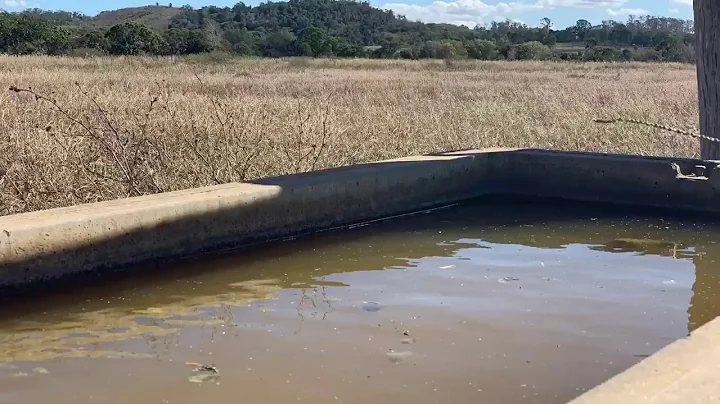 D2D54D10 6765 417F 9BF1 9AA16328C6A1