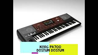 KORG PA700 & Dostum Dostum & Pir Sultan Abdal Resimi