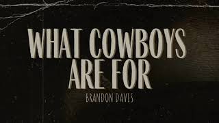 Watch Brandon Davis What Cowboys Are For video