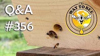 Backyard Beekeeping Q&A 356 Swarms continue