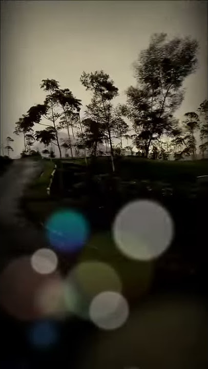 Story WhatsApp pendakian gunung