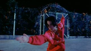 Close Combat 近接戦闘 (Live Action Edition)