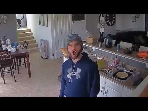 110 Incredible Moments Caught on CCTV Camera