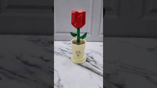 Bunga Mawar Pot