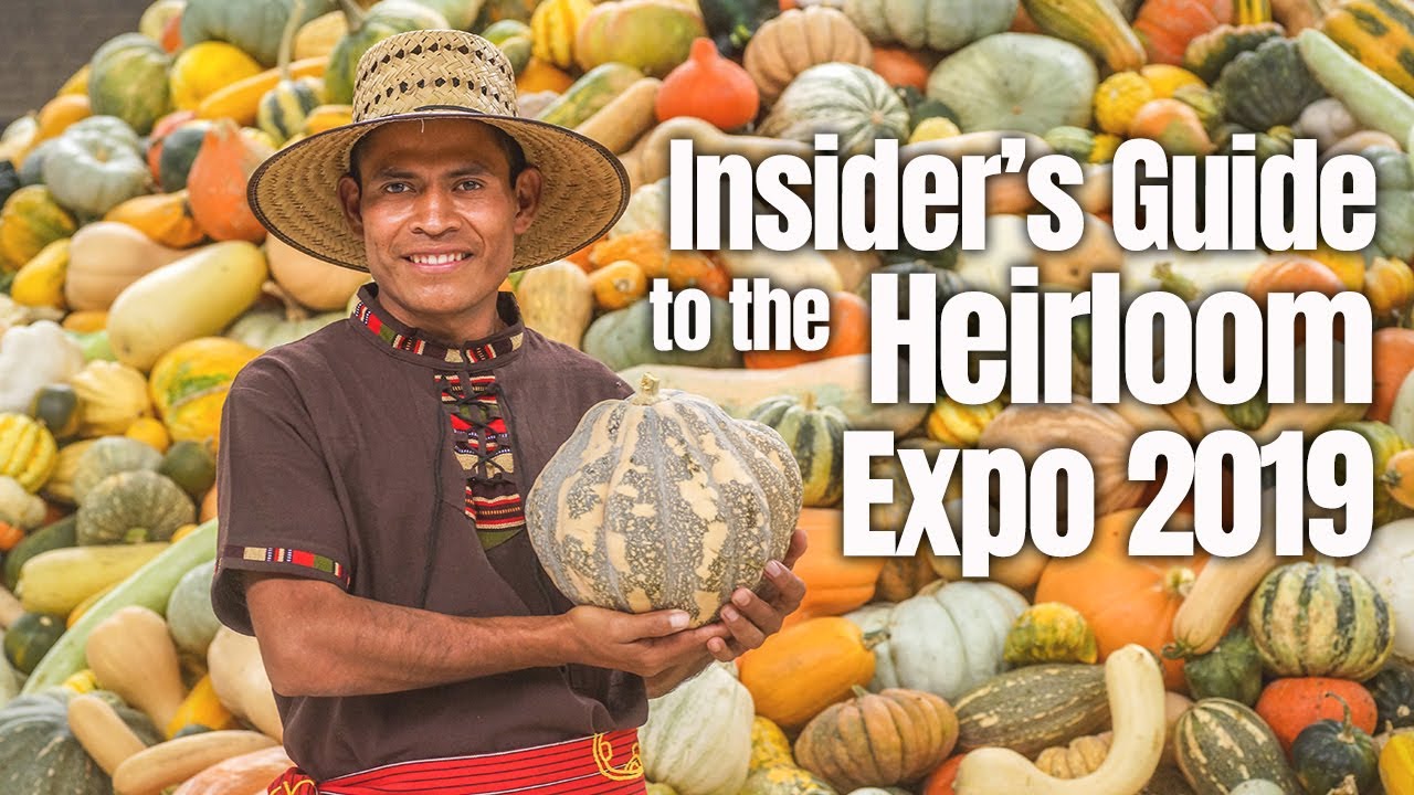 Insider's Guide to the National Heirloom Expo 2019 YouTube