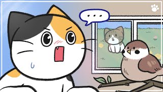 Cat Vocalizations and What They Mean | BEMYPET's Tips screenshot 5