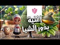 Rozette أغنية بذور الشيا Chanson De Chia