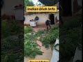 DD Free Dish || Free Dish signal setting || subscribe to my channel