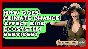 How Does Climate Change Affect Bird Ecosystem Services? - Bird Watching Diaries