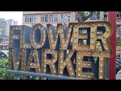 P1 || FLOWER MARKET || 2-10-2026