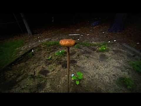 Exploding Potato