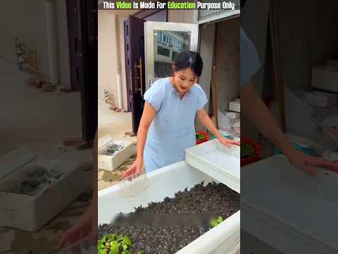 The Snake Baby 😨| New Viral Gadgets, Smart Appliances, Kitchen Utensils/ Home Inventions
