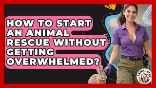 How To Start An Animal Rescue Without Getting Overwhelmed - Animal Care Jobs