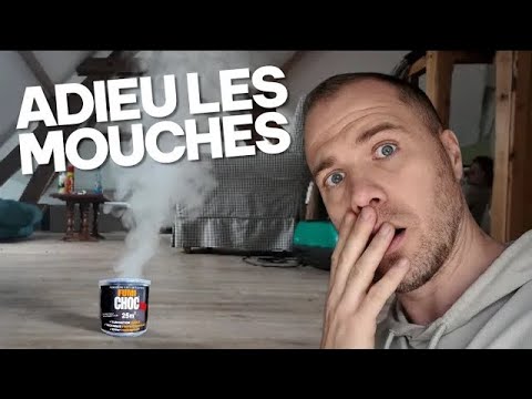 Mouches dans des combles aménagés : ma fumigation en vidéo