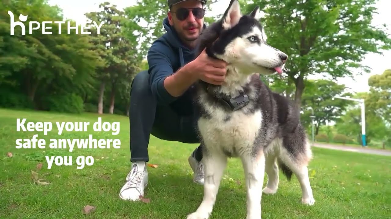 World Most Accurate Wireless GPS Dog Fence