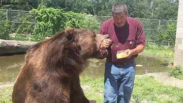 Jimbo and Leo eating honeycomb