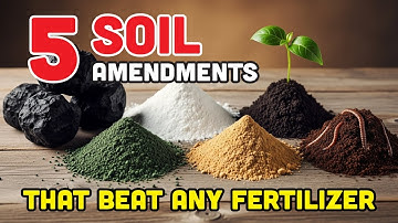 5 Minerals That SUPERCHARGE Your Harvest in Just 30 Days