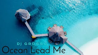 Edward Maya - Ocean Lead Me | DJ GROSSU 🌴 Summer Song