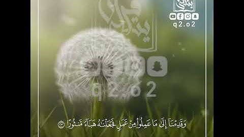 الشيخ بندر بليلة ما تيسر من سورة الفرقان