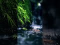 #relaxingmusic #relax #relaxing #shorts #shortvideo