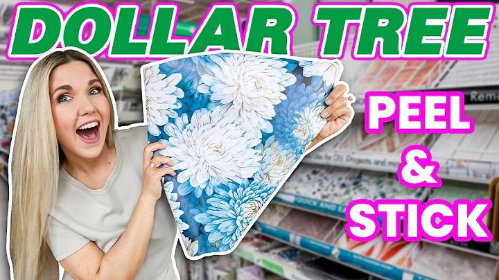 The genius way I used the new DOLLAR TREE peel & stick wallpaper