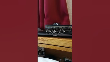 #تلاوة_خاشعة #اكسبلور #القرآن_الكريم #قرآن #quran #لايك #تلاوة_هادئة #راحة_نفسية #duet