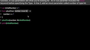 Learn Swift: Inout Parameters & Functions (Chapter 9 Lesson 10)