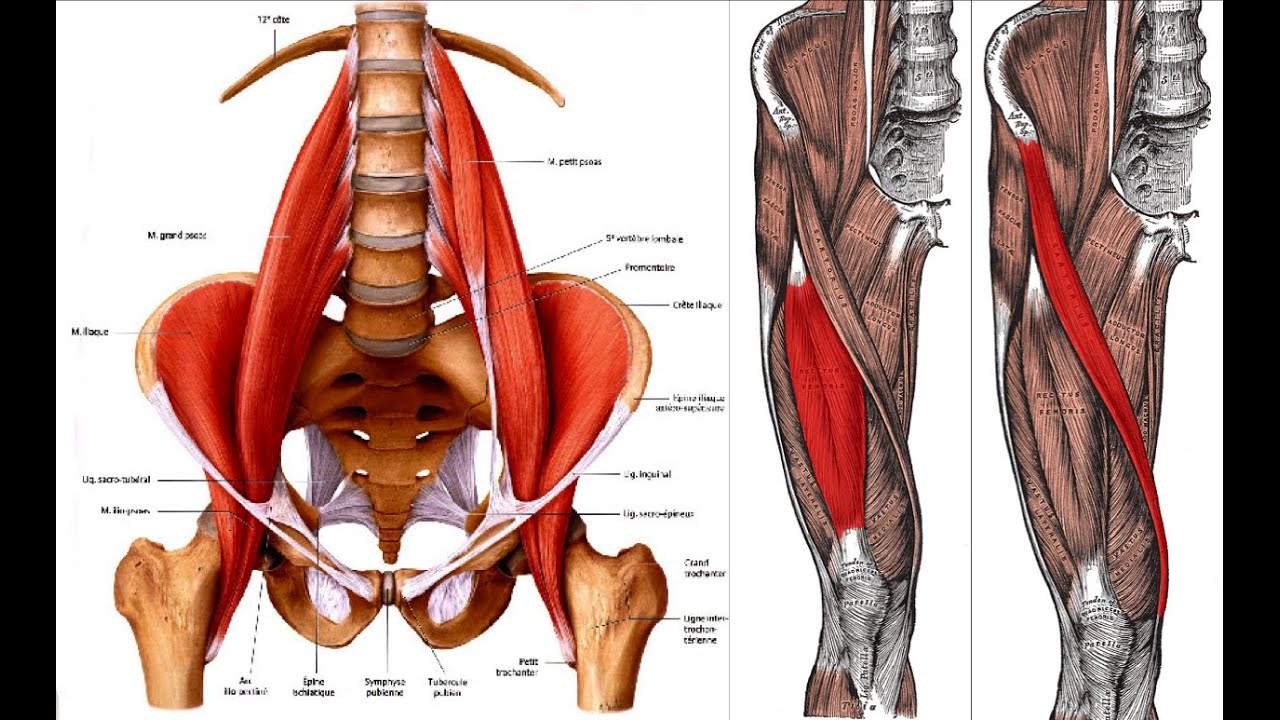 Do You Have Tight Hip Flexors? - Do This Test - YouTube