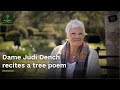 Dame Judi Dench recites  &#39;Loveliest of trees, the cherry now&#39; for The Queen&#39;s Green Canopy launch