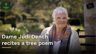 Dame Judi Dench recites  'Loveliest of trees, the cherry now' for The Queen's Green Canopy launch