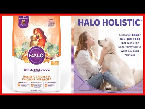 Vidéo: Où est fabriquée la nourriture holistique pour chiens ?