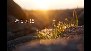 【piano】赤とんぼ  Aka-Tombo　〜響きを楽しむ 日本の名曲〜【楽譜】