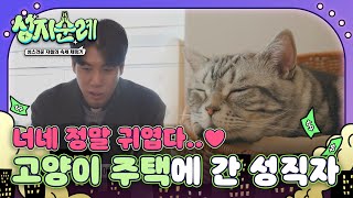 나만 없어 고양이🐱 사랑스러운 고양이들과 함께하는 고양이 주택에 찾아간 성직자들 l #성지순례 l #MBCevery1 l EP.08