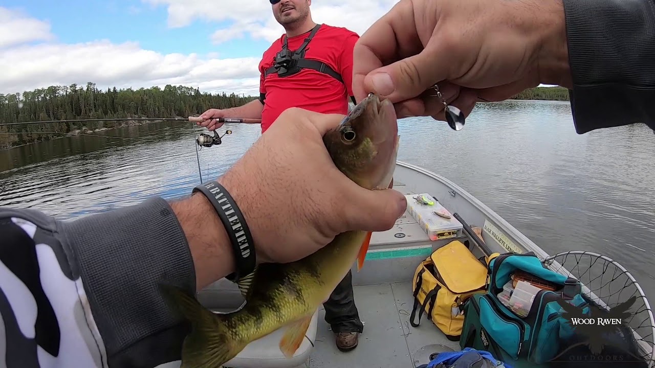 Ontario Perch Fishing JUMBO PERCH S2 EP8 YouTube