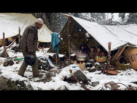 Inside Dolpa’s Coldest Region | A Family’s Real Experience Living in Nature, Caves & Tents🌧️🌧️🌧️