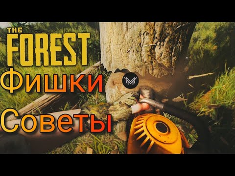 10 Фишек, Советов The forest Для новичков
