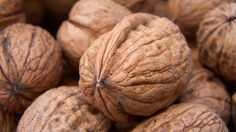 Walnut Sorting by Raynbow machine | RAYTEC VISION SpA