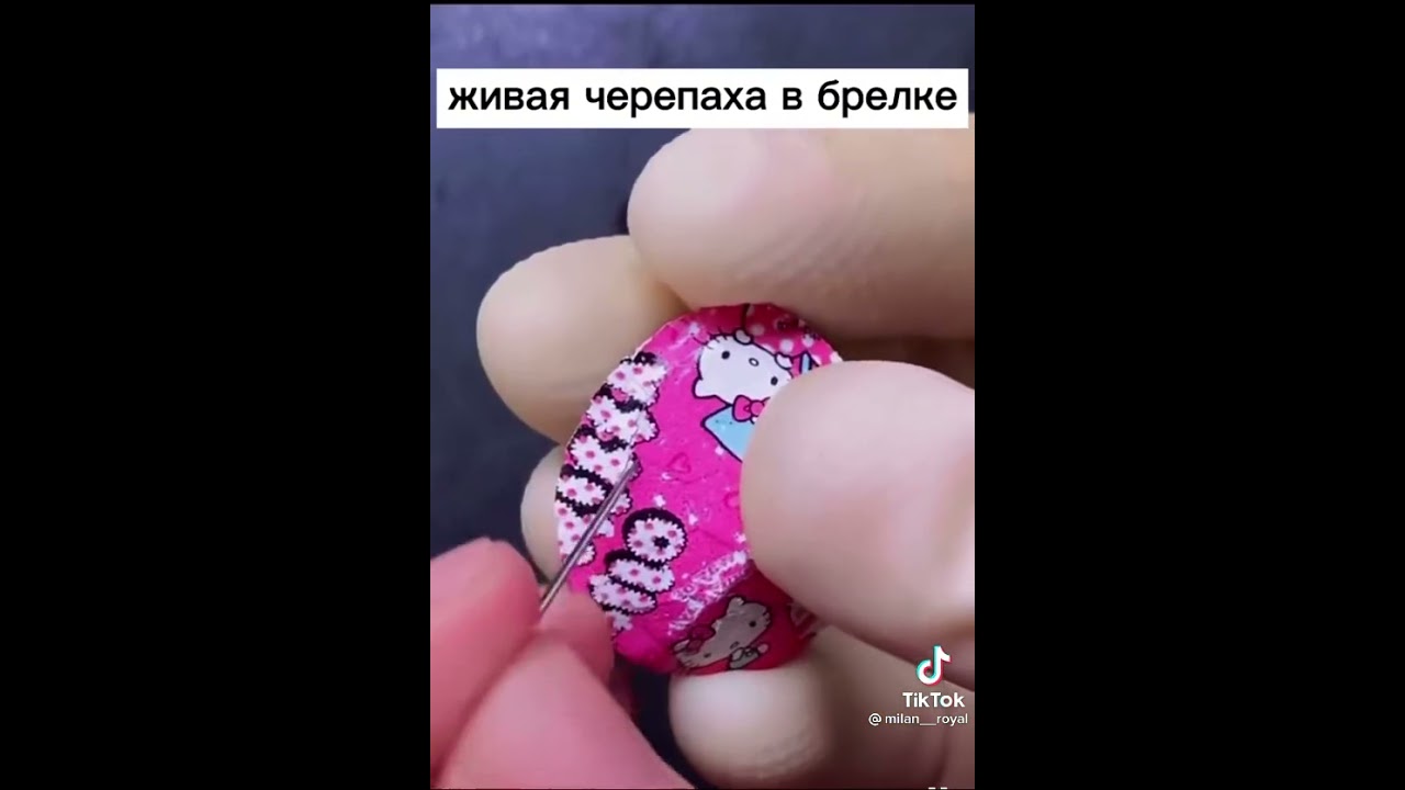 живая черепаха в брелке