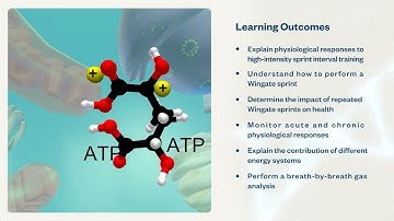 Exercise Physiology | Virtual Lab