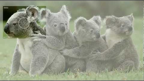 ZeroShake - The Virtual Tripod 2