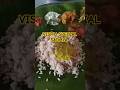 Delicious Vishu Grand Sadya #music #song #shortsfeed #shorts #food #foodie #feast