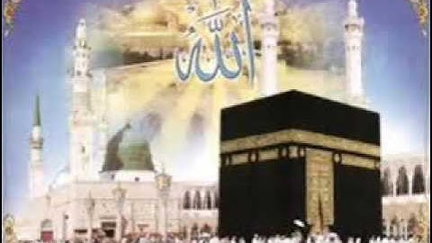 صلاة المغرب من سورة غافر الآيات من 69:81