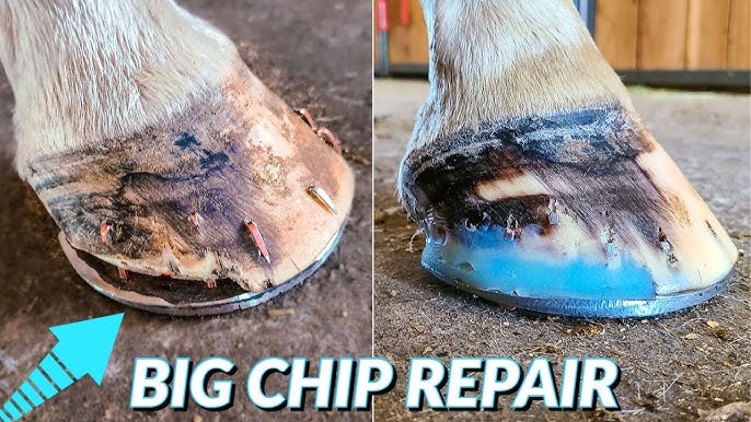 How to shoe a horse using resin - Amazingly satisfying 