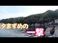 夕まずめに道糸が走り銀狼王牙が曲がる！！