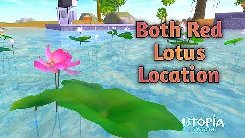All Red Lotus Location on Beia Origin