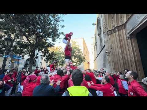 Castellers de Barcelona: Pilar de 4 a la Porta de Santa Eulàlia - Santa Eulàlia 2024