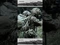 Combat Scenario US Troops Join NATO