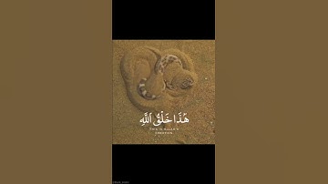 هذا خلق الله فأروني ماذا خلق الذين من دونه| تلاوة خاشعة تطمئن لها القلوب.