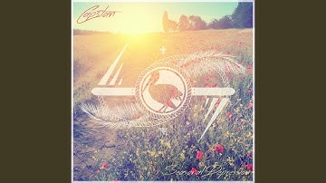 Politically Correct (feat. Jeff Schneiter)