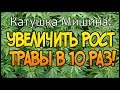 Катушка Мишина! Эксперимент. ШОК!